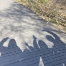 신짜오쌀국수 이미지
