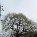 상학돌담길마을 이미지