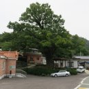 신촌정자경로당 이미지