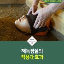 테르엔 이미지