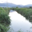 휴가 마지막날 잠낚시를 즐기며.... 이미지