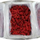 이레농장 2 이미지