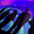 미륵미륵 맥주호스텔 이미지