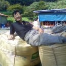 정만농장 Daum카페
