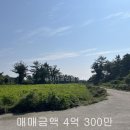 표선동서로 이미지