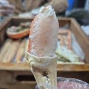 팔도대게 | 속초 동명항 맛집 탐방:연예인들도 줄 서는 '팔도대게' 후기!🦀