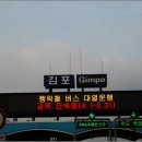 자유낚시 Daum카페