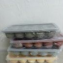 옐로우큐브 | 이유식 시작! 자이티 이유식 큐브, 이유락 큐브 보관함 내돈내산 후기, 장단점