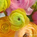 새통영농협 하나로마트죽림점 이미지