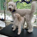 몽스빌리지 이미지