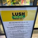 와우러쉬 | [내돈내산] 러쉬 세일 매장 털기! 눈 돌아가는 매장 구경 & 득템 후기(오프라인 세일 재고 확인)