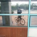 황금소나무공인중개사사무소 이미지