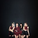 로제포토그래피 이미지