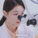 돌고래농장 이미지