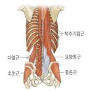 부산피티샵더원짐동래래미안점 이미지
