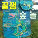 풀빛공원 유아숲체험원 이미지