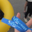 동일농원 | 양주 유수풀파크(고주내관광농원) 후기 | 야간 물놀이 가격·수질 총정리
