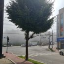 돈우대감 이미지