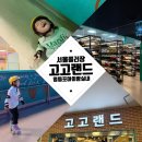 홈플러스(주)서울남현점 | 서울 아이랑 실내 [고고랜드 홈플러스영등포점] 서울롤러장ft. 7세 후기, 꿀팁