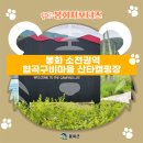소천권역협곡구비마을