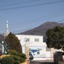 동부초등학교율포분교장 | " 동부 초등학교 율포 분교장 "