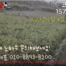 코시팜스 이미지