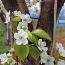 완주군 문화체육센터 이미지