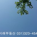 천리공인중개사사무소 이미지
