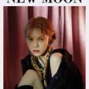 지민플라워