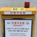 서귀인명-42 이미지