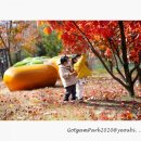 아이누리아이스타 이미지