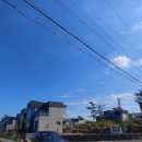 제주 민들레펜션 이미지