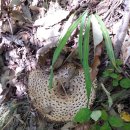 꽃봉재가든 이미지