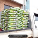 동진면사무소 이미지