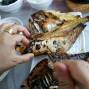 삼천포회구이 이미지