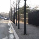 서울체육고등학교 정문 이미지