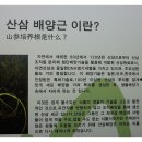 석부작박물관 이미지