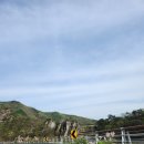 팔봉글램핑 | [충주글램핑/팔봉글램핑] 1박2일 여행 / 생일파티 / 팔봉글램핑 솔직리뷰 / 빈센조촬영지