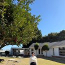 크린에이드제주표선점 | 제주 표선 신상카페 오브시퀀스 제주 아기랑 방문 후기