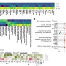 윈아이안경 이미지