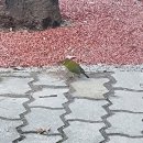 240111-20 배움에는 끝이 없지