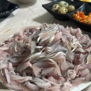 카페라멘 티스토리