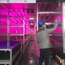 ICT융합소프트 이미지