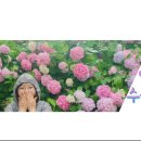 (주)태종대온천 이미지