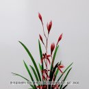 안산한국문화센터 이미지
