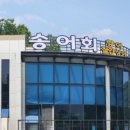 안동송어회