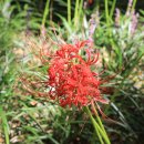 중리공원 이미지