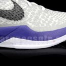 주) 나이키 코리아 Zoom Kobe VI a.k.a Concord 1월 발매 이미지