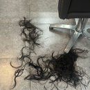 꽃을든남자미용실 | [다이소] 다이소 셀프스트레이트 펌 꽃을든남자ver. 내돈내산 셀프 매직 솔직후기 두가지 약 비교