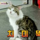 착한마트 이미지